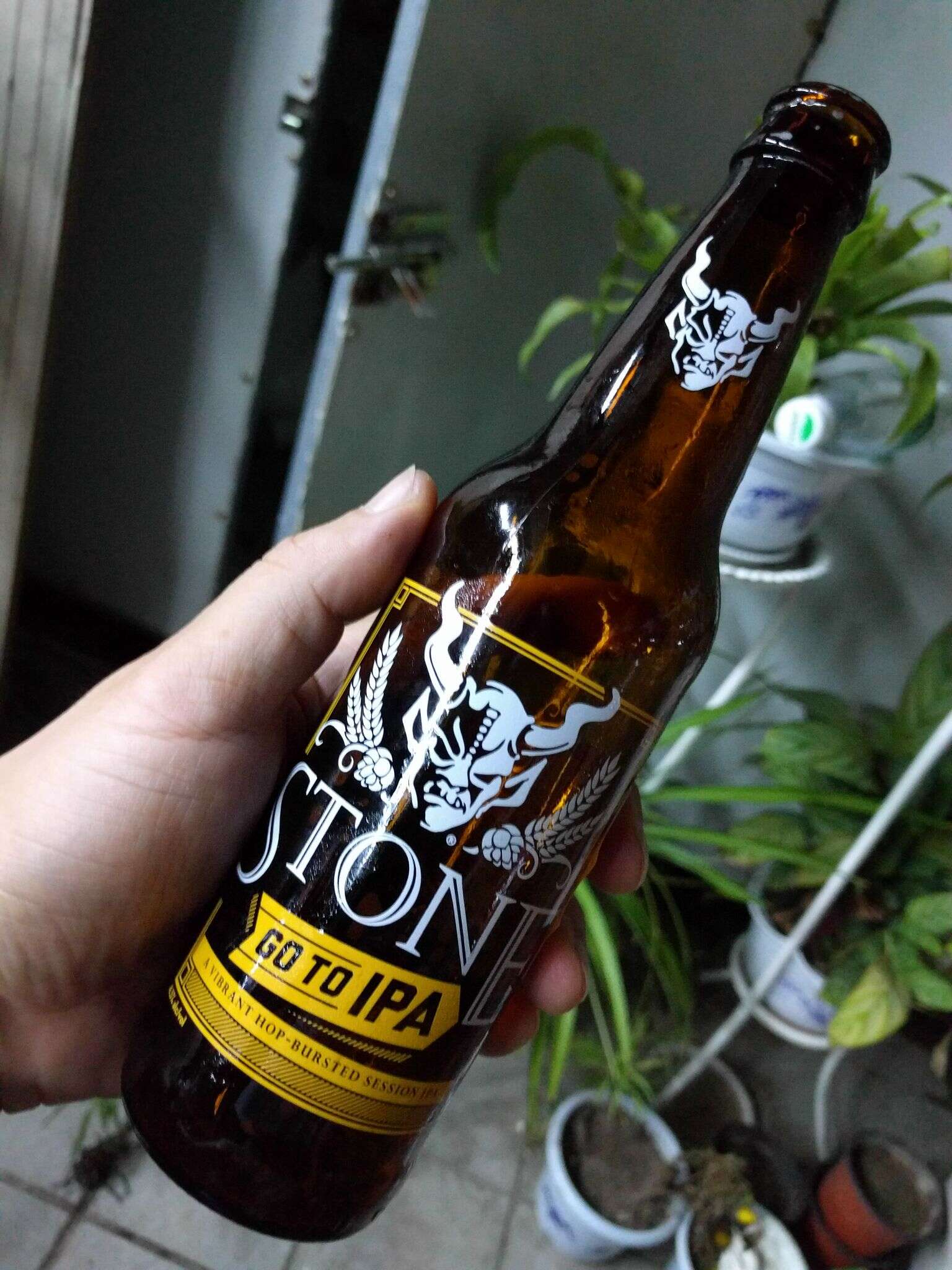 Stone Go To IPA 20160821 232318